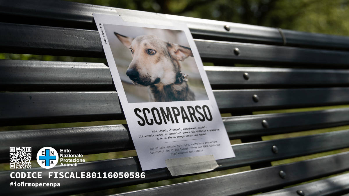 Se ami gli animali sei uno di noi
